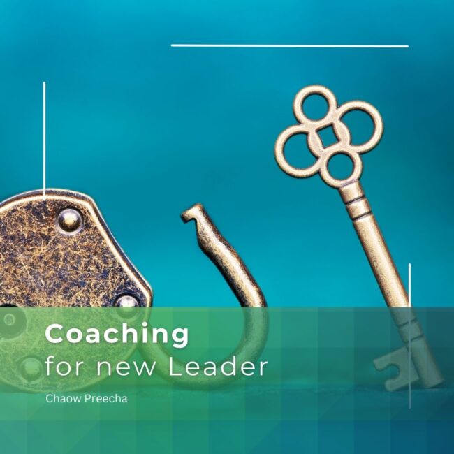 coaching for new leader